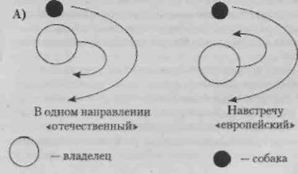 http://www.sannisolnce.my1.ru/biblioteka/dressirovka/image012.jpg